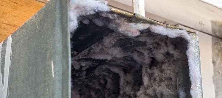 Why Clean Your Air Ducts? blog image