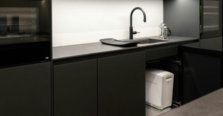 kitchen with a water filtration system
